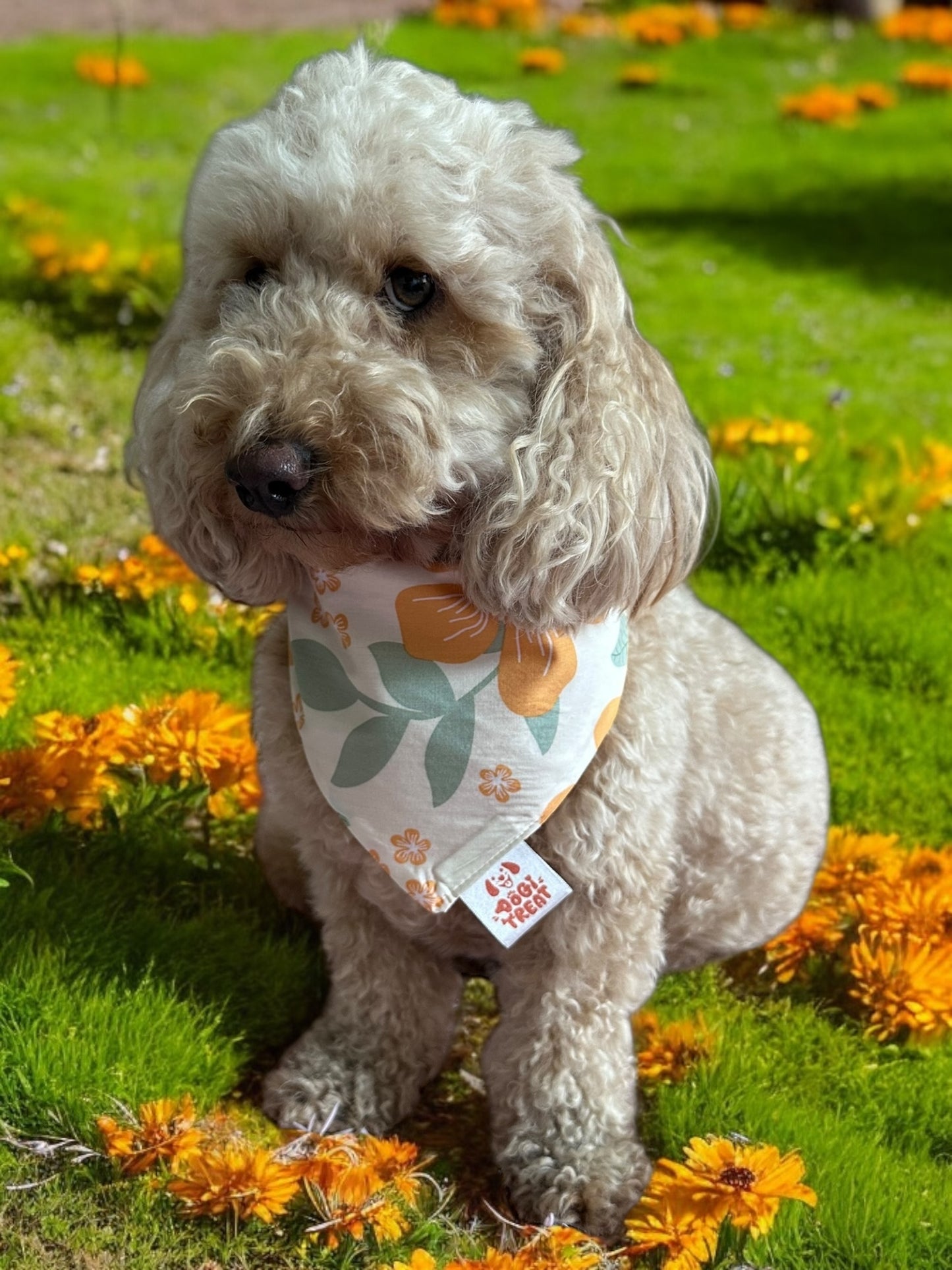 Golden Bloom Bandana