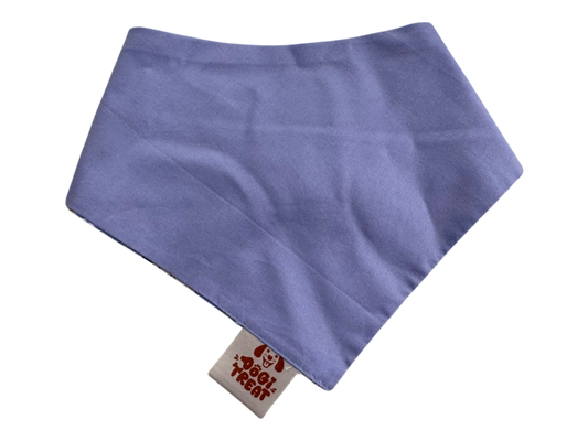 Pawfect Smiles Bandana