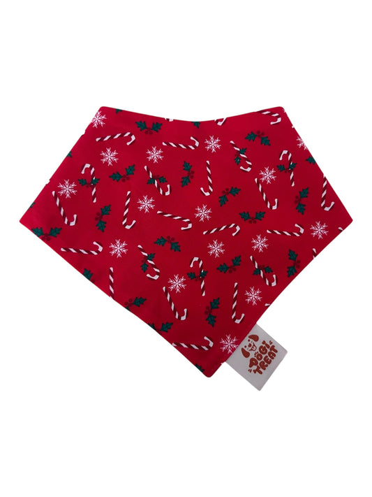 Christmas Santa Face - Greenand Candy Cane Bandana