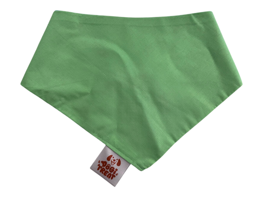 Tiny Travelers Bandana