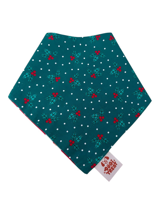 Christmas Santa Face - Red Bandana