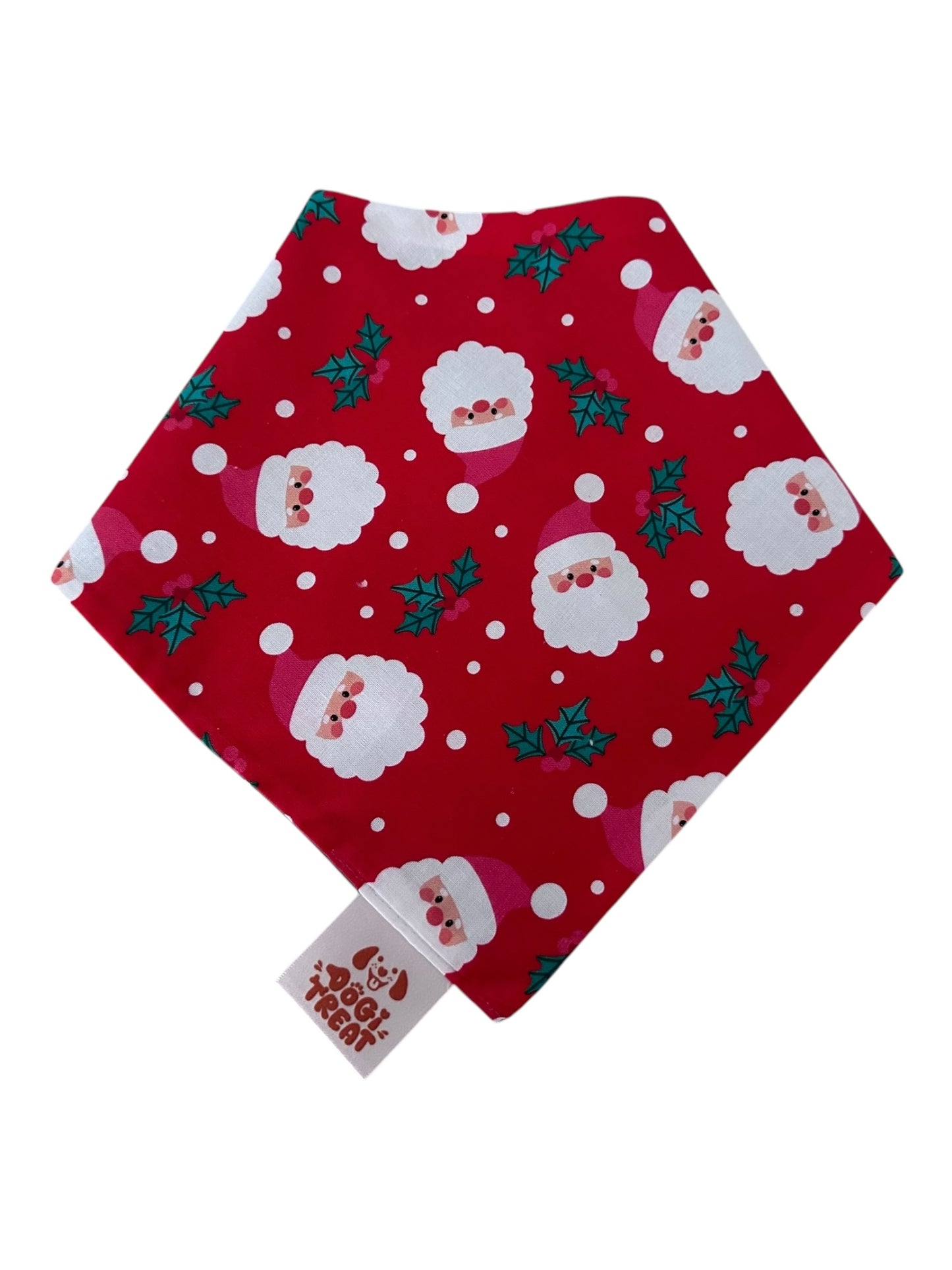Christmas Santa Face - Red Bandana