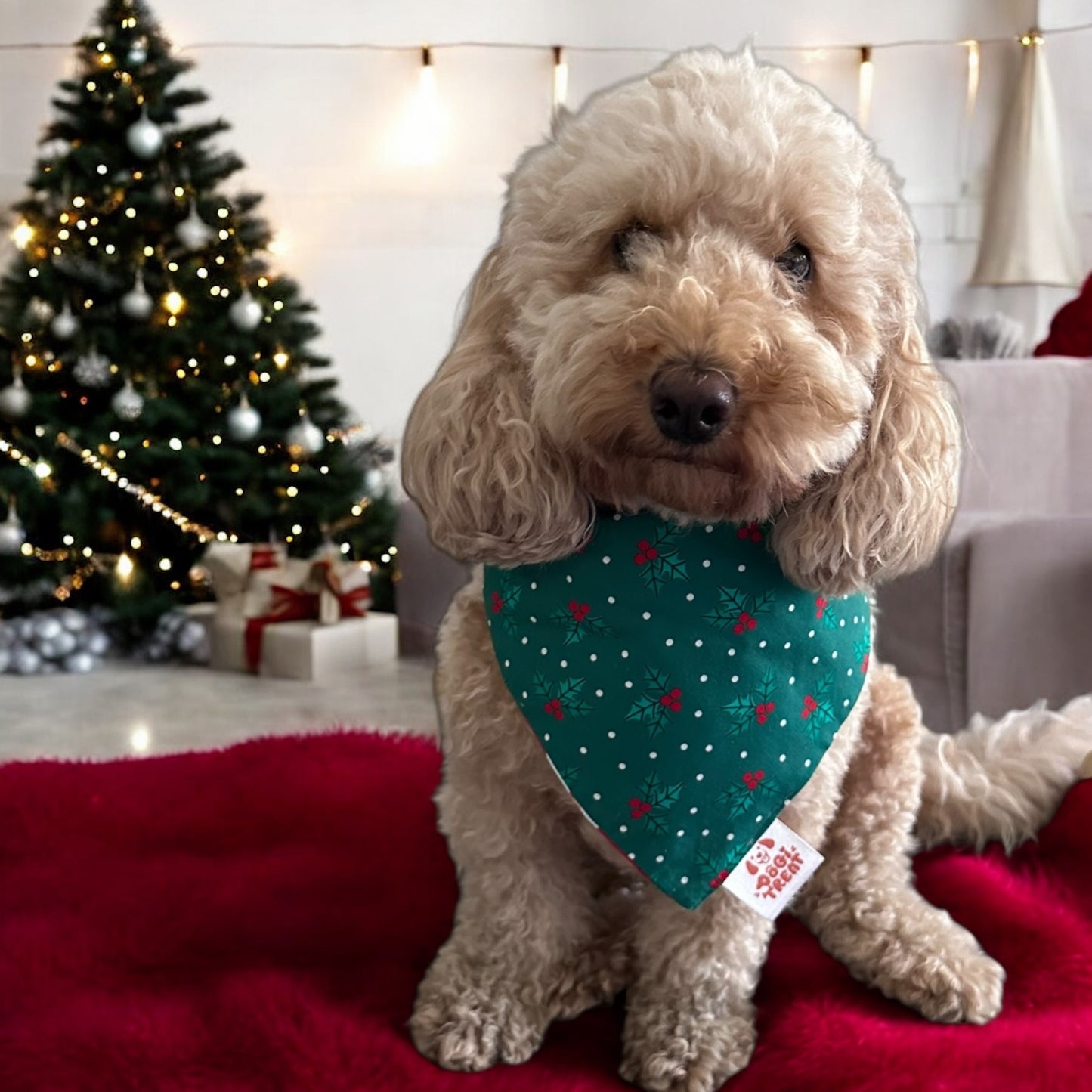 Christmas Santa Face - Red Bandana