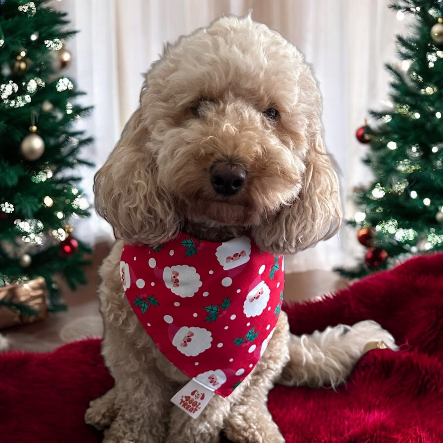 Christmas Santa Face - Red Bandana