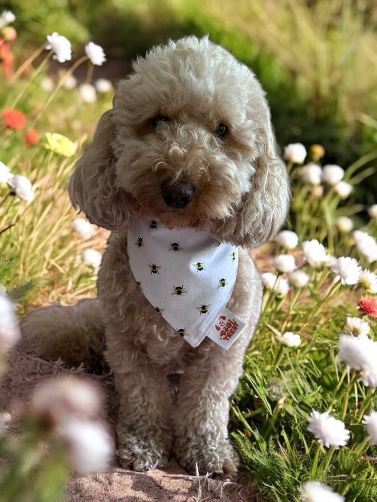 Buzz and Bloom Bandana