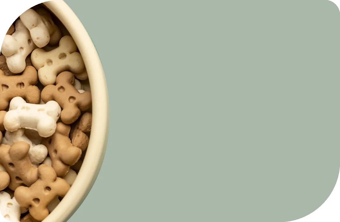 Dog Food Treats