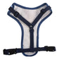 Striped Bunny Dog Harness - Adjustable, Comfortable & Stylish