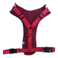 Ladybug Print Dog Harness - Adjustable, Comfortable & Stylish