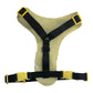 Sunny Daisy Dog Harness-Adjustable, Comfortable & Stylish