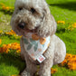 Golden Bloom Bandana