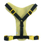 Bee Print Dog Harness – Adjustable, Comfortable & Stylish