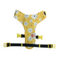 Sunny Daisy Dog Harness-Adjustable, Comfortable & Stylish