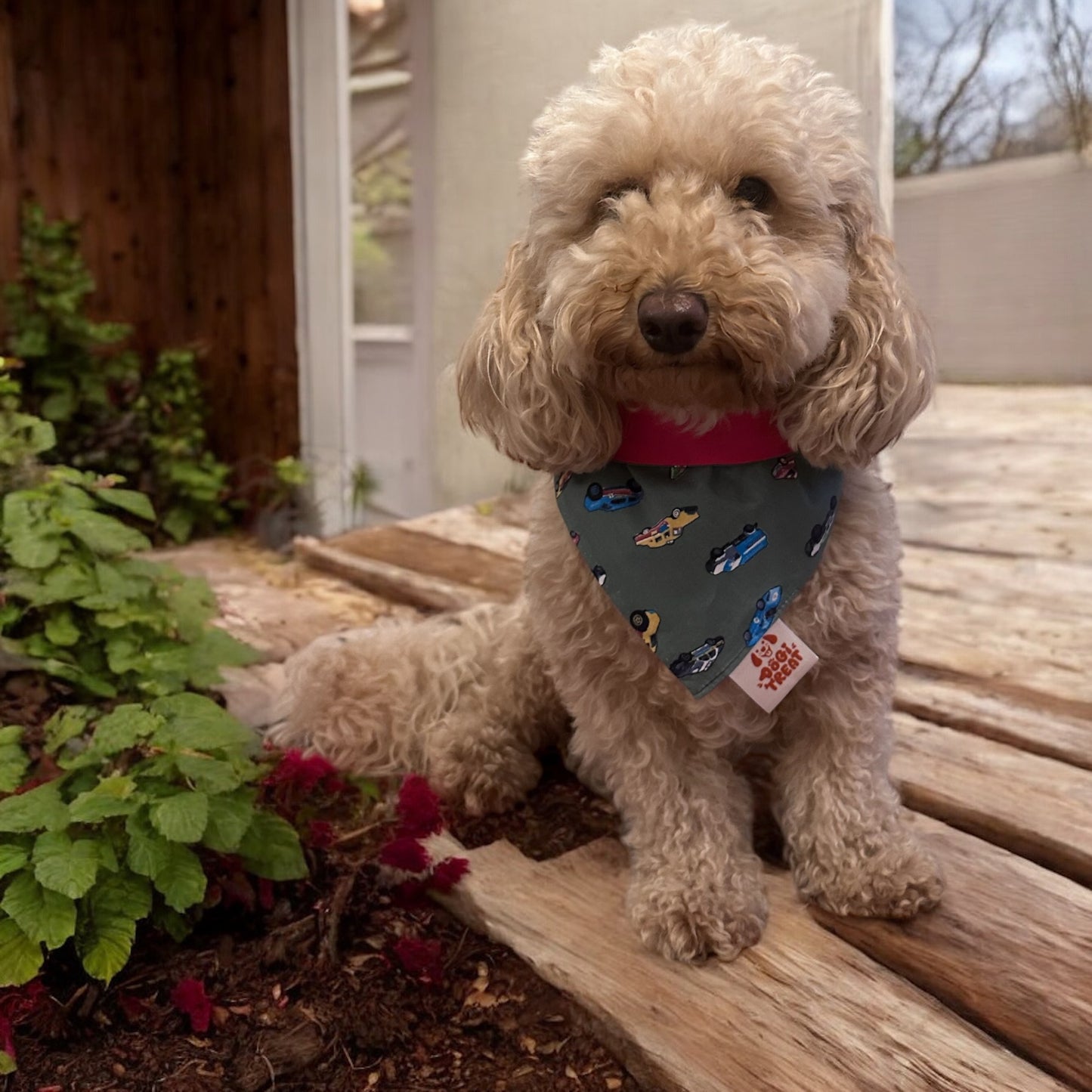 Zoom Zoom Bandana