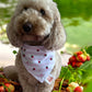 Berry Sweet Bandana