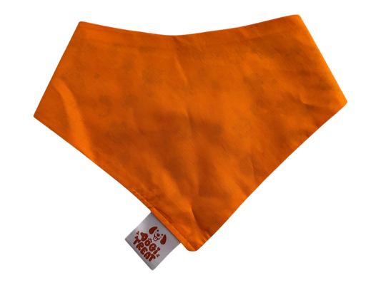 Baa-Baa Bandana