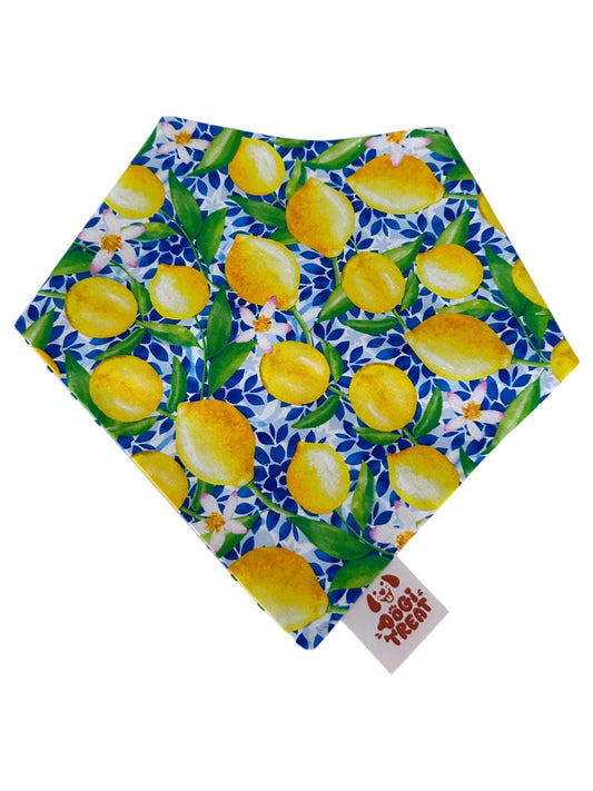 Citrus Vibes Bandana