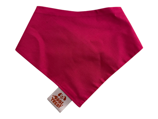 Zoom Zoom Bandana