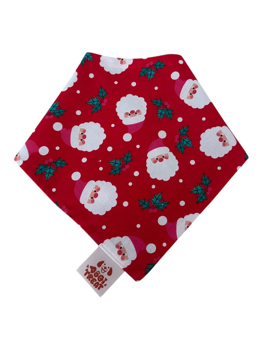 Christmas Santa Face - Red Bandana