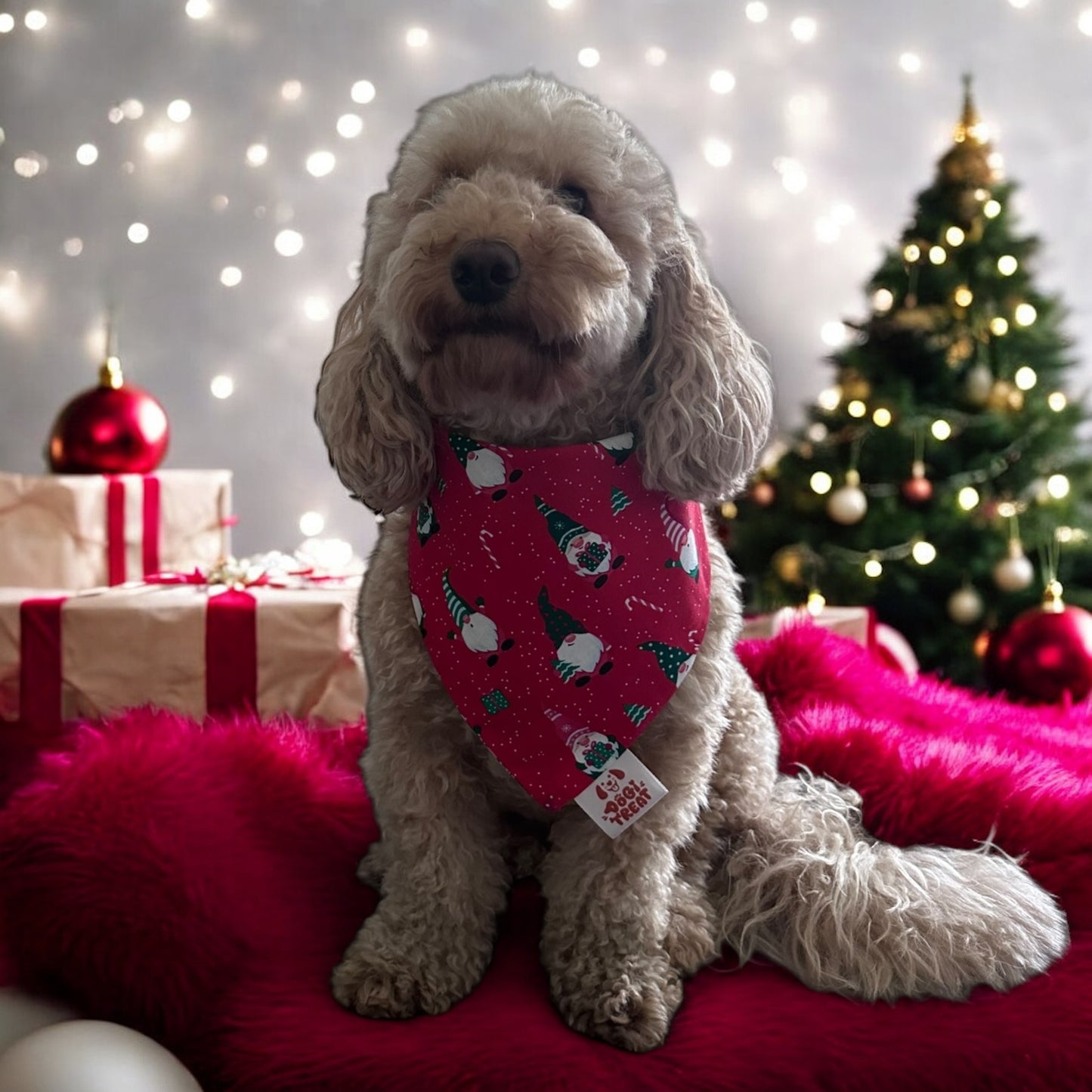 Christmas Basics Gnomes - Red Bandana