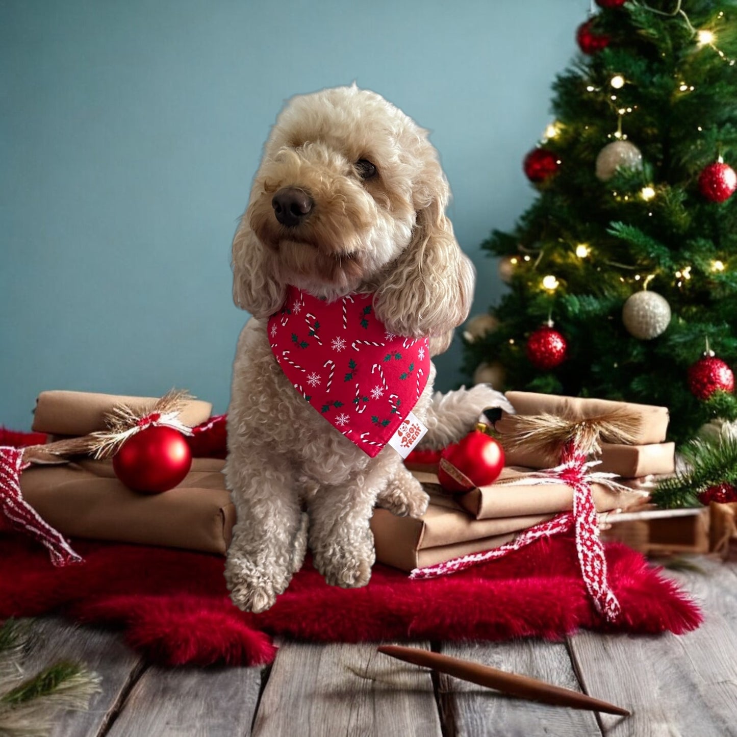 Christmas Basics Stars - Red Bandana