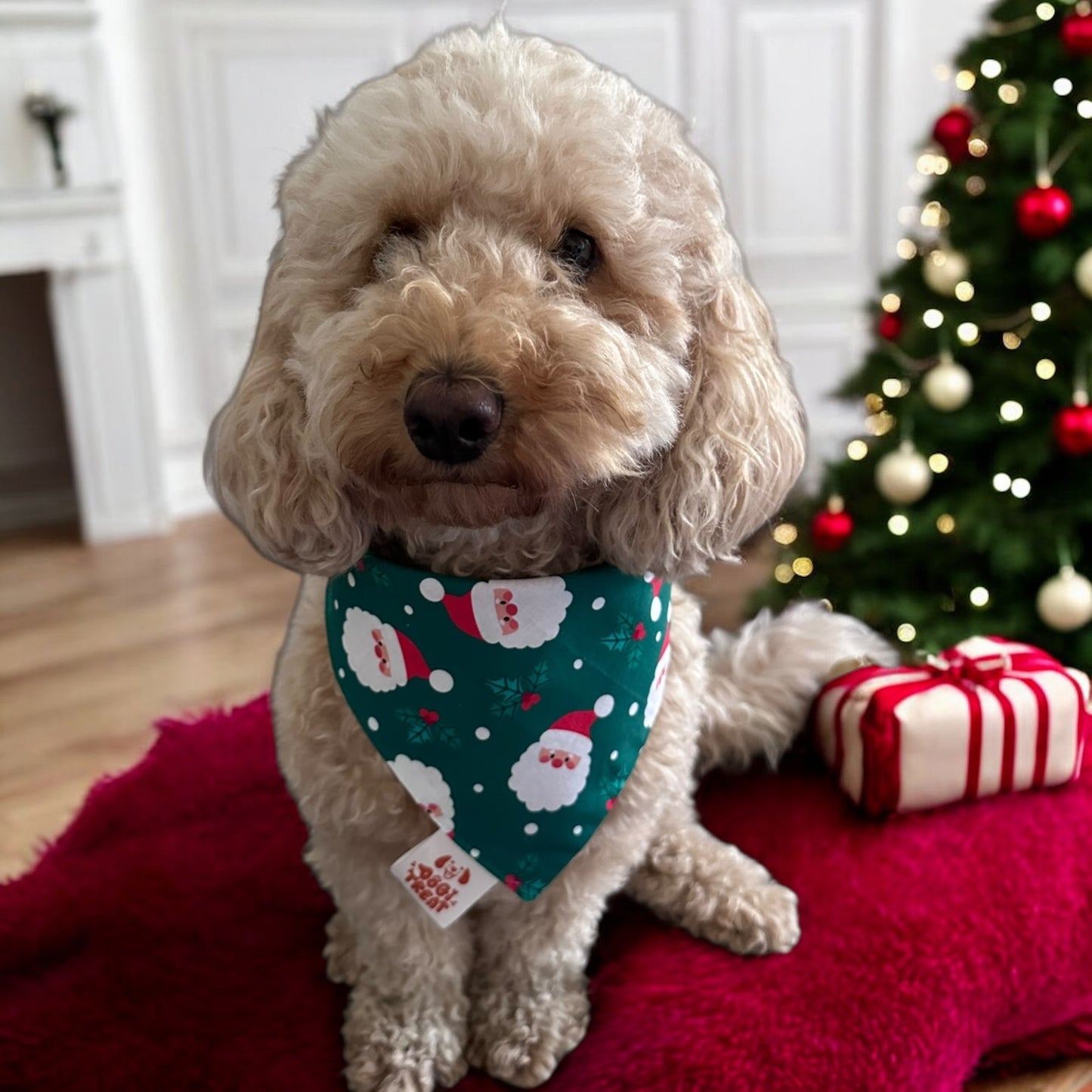 Christmas Santa Face - Greenand Candy Cane Bandana