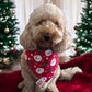 Christmas Santa Face - Red Bandana
