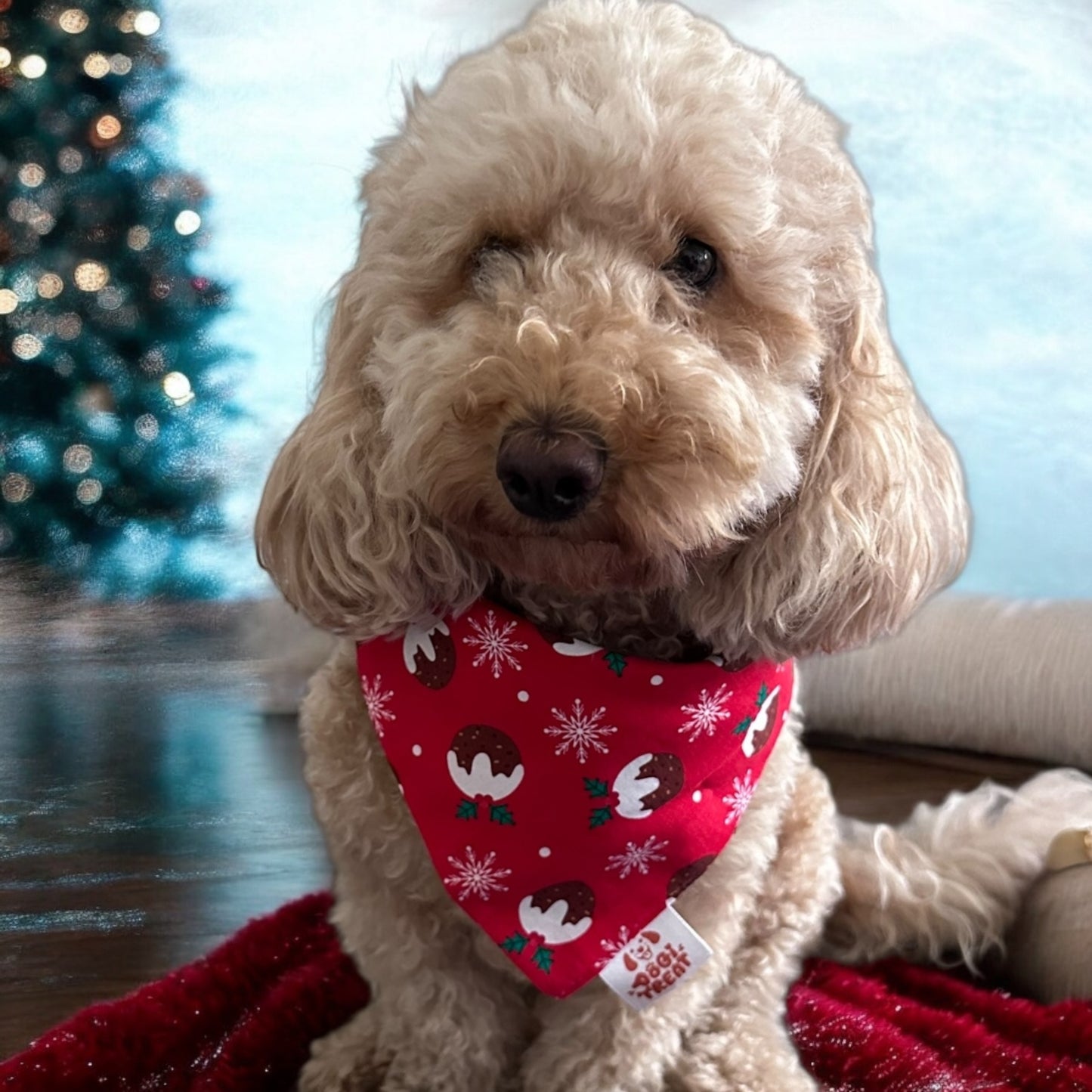 Christmas Basic Pudding Bandana