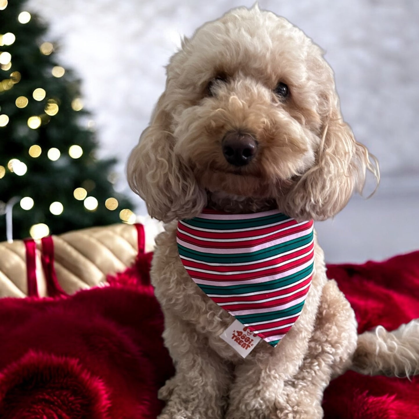 Christmas Basic Pudding Bandana