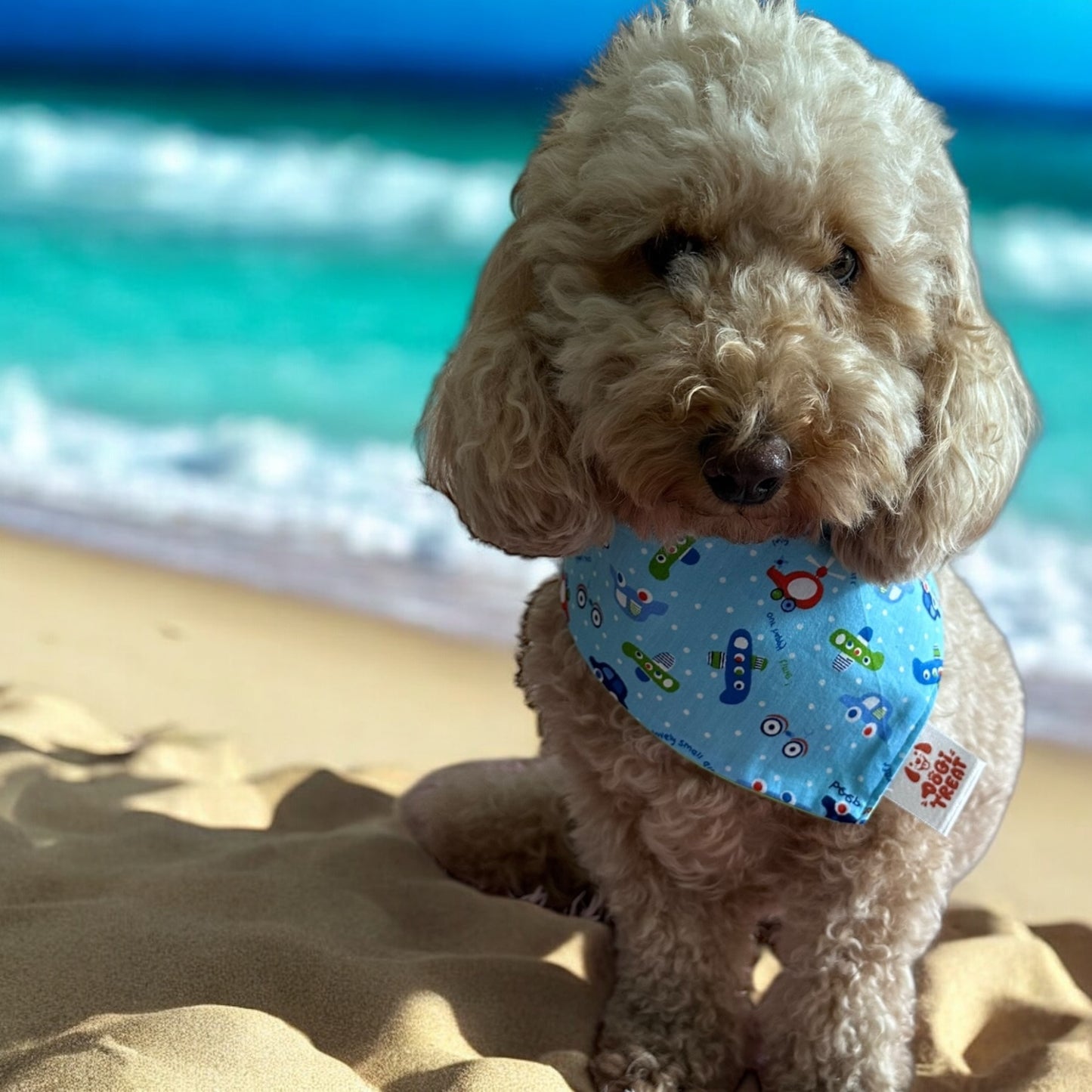 Tiny Travelers Bandana