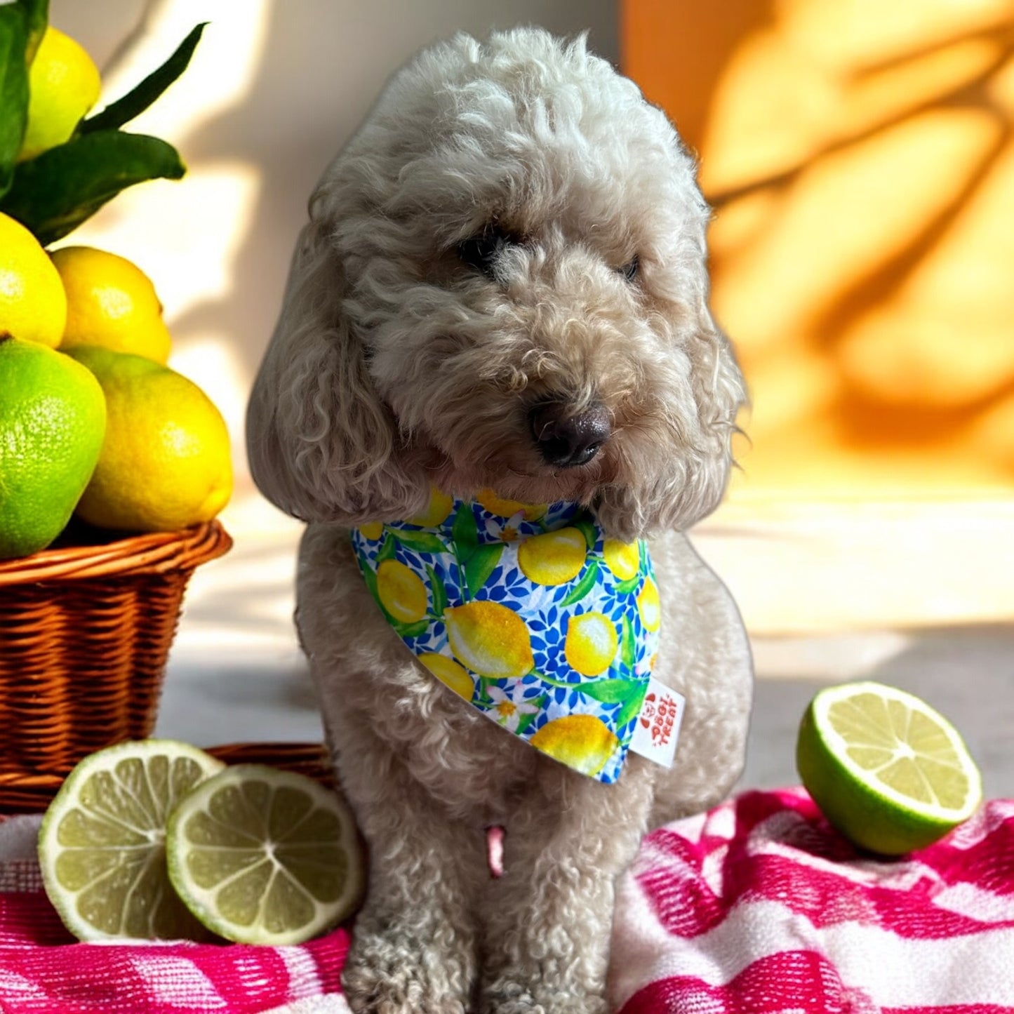 Citrus Vibes Bandana