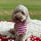 Berry Sweet Bandana