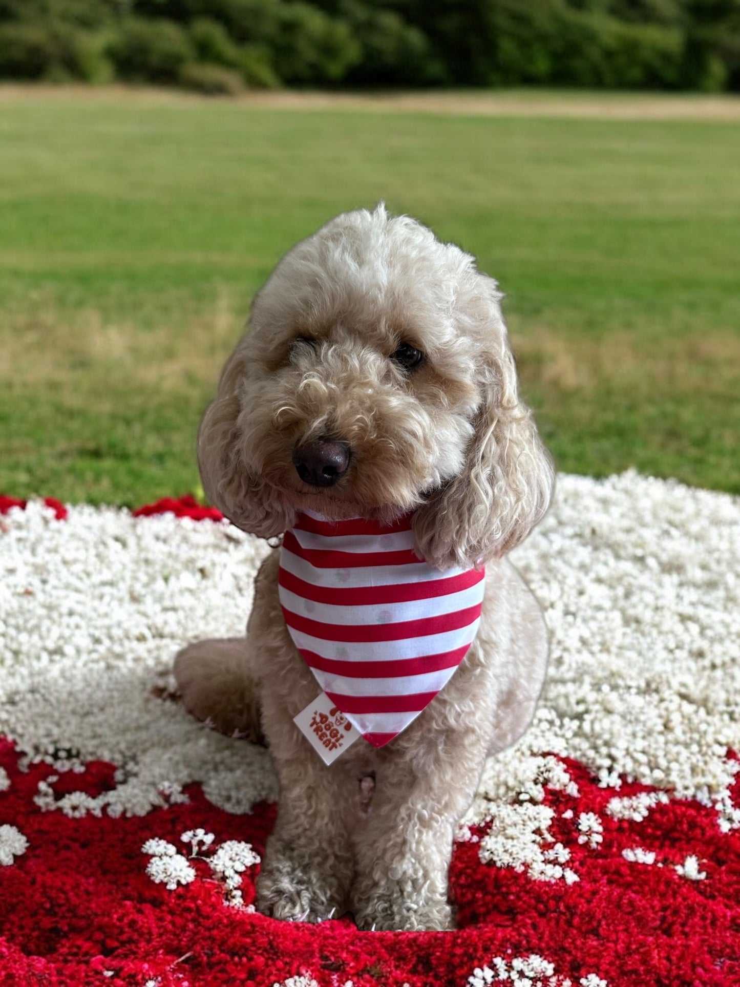Berry Sweet Bandana